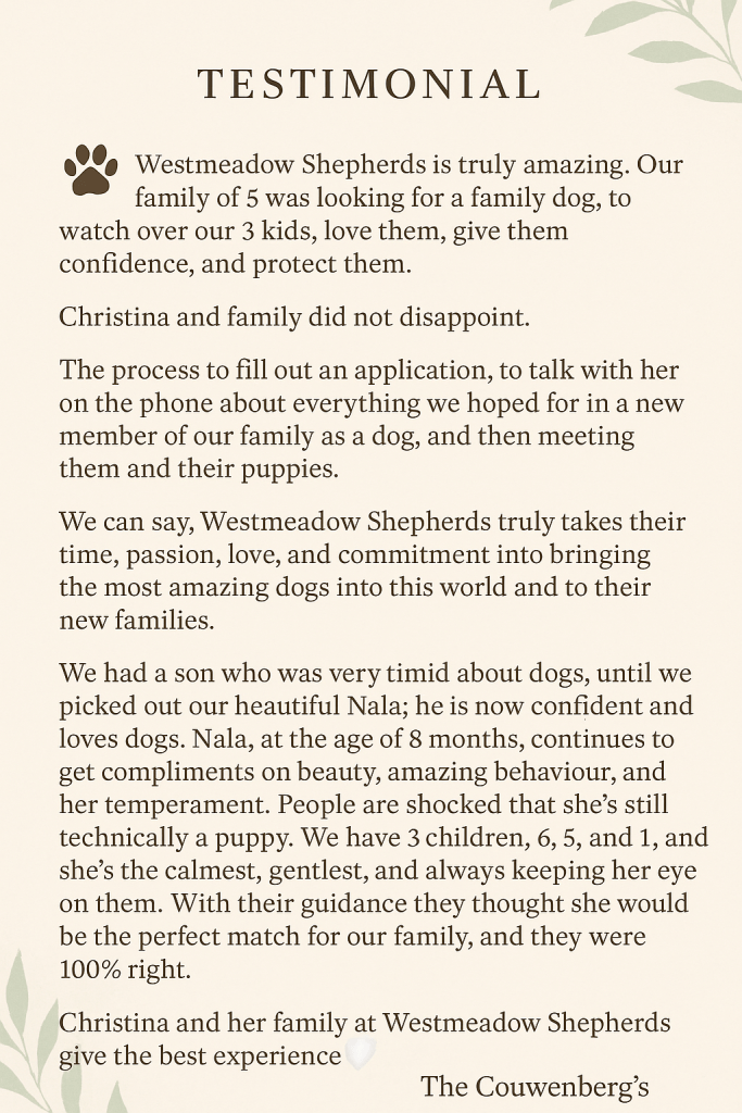 Testimonial from the Couwenberg family about Nala, their German Shepherd from West Meadow Shepherds. Healthy, gentle with children, confident, beautiful temperament, and protective family dog.