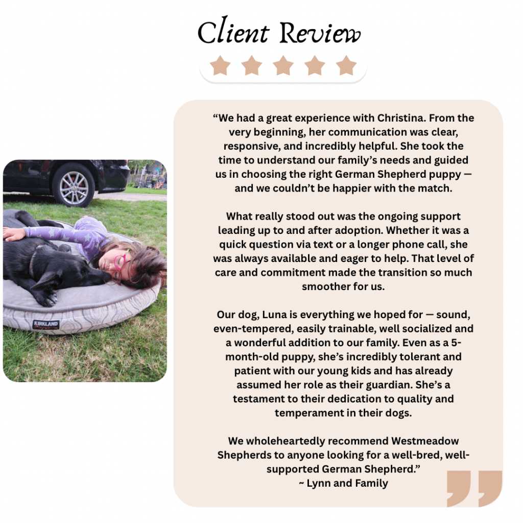 A young girl lying on a dog bed outdoors, cuddling with her black German Shepherd puppy named Luna. Client review text praising West Meadow Shepherds for their communication, support, and raising well-tempered, family-friendly German Shepherd puppies.